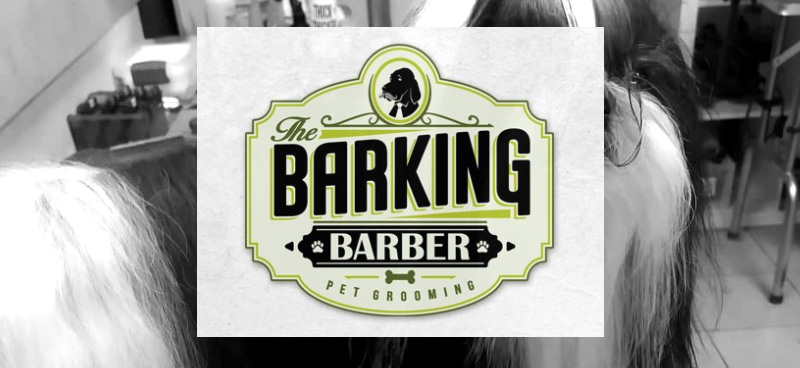 Thebarkingbarber web design